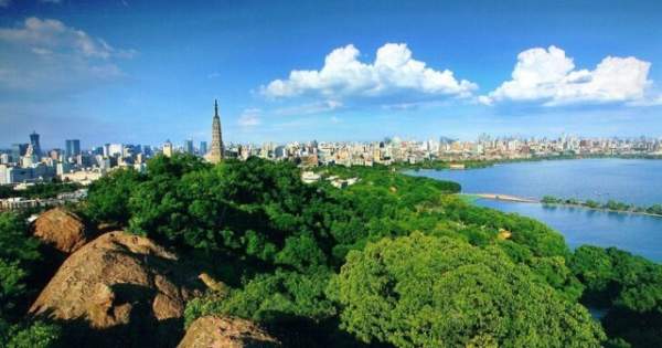 學(xué)習(xí)國外苗木行業(yè)經(jīng)驗，搶先了解國內(nèi)市場動態(tài)