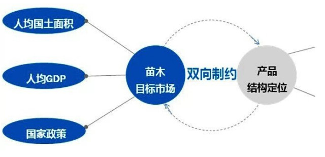 學(xué)習(xí)國外苗木行業(yè)經(jīng)驗，搶先了解國內(nèi)市場動態(tài)